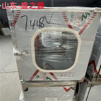 湖南電子互鎖304不銹鋼雙開(kāi)門自凈式傳遞窗